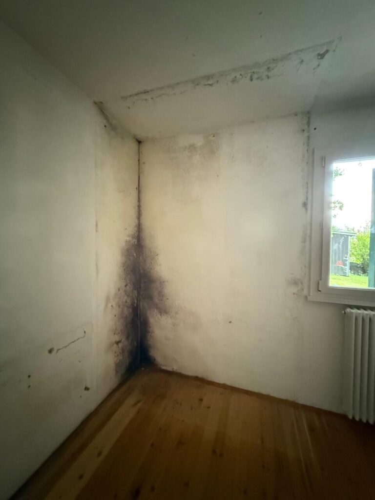 Ristrutturazione via San Pietro 17 Bolzano WhatsApp Image 2025 09 04 at 10.00.15