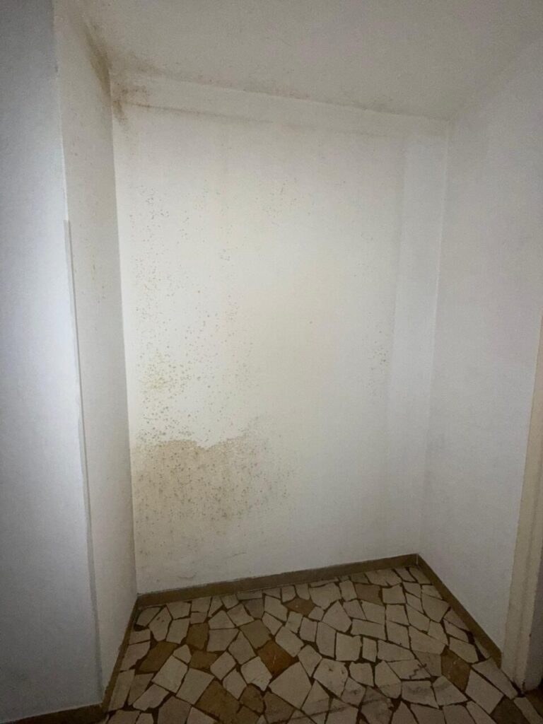 Ristrutturazione Via Druso 95 Bolzano WhatsApp Image 2025 10 21 at 10.02.14 17